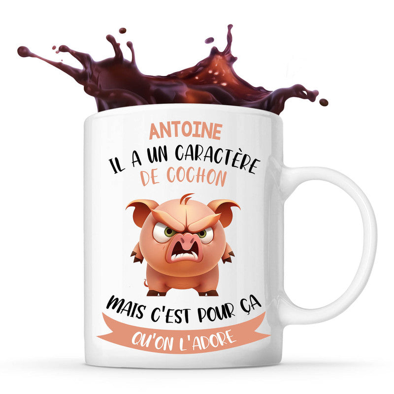 Mug Antoine Caract re de Cochon Tasse Humour Planetee