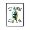 Affiche Panda c'est la vie - Planetee