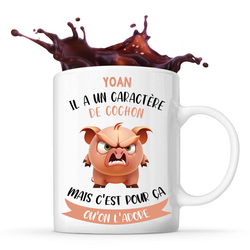 Mug Yoan Caract re de Cochon Tasse Humour Planetee