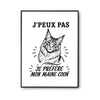 Poster J’peux pas je préfère mon Maine Coon