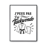 Poster J’peux pas j’ai Taekwondo