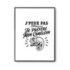 Poster J’peux pas je préfère mon Caméléon