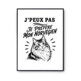 Poster J’peux pas je préfère mon Norvégien