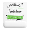 Tapis de souris ergonomique avec repose-poignet, accessoire bureau pour femme et homme, fête des pères, cadeau pas cher, idée cadeau fête des mères, secret santa, départ à la retraite, télétravail et gaming