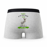 Caleçon Marco Têtu comme Un Âne - Humour Boxer Gris Idée Cadeau