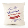 Housse de Coussin Premium Informaticien Meilleur Monde - Coton Canvas Fairtrade Beige Idée Cadeau Décoration Canapé 40x40