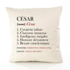 Housse de Coussin Premium César Définition - Coton Canvas Fairtrade Beige Idée Cadeau Décoration Canapé