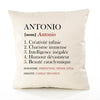 Housse de Coussin Premium Antonio Définition - Coton Canvas Fairtrade Beige Idée Cadeau Décoration Canapé