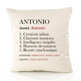 Housse de Coussin Premium Antonio Définition - Coton Canvas Fairtrade Beige Idée Cadeau Décoration Canapé