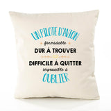 Housse de Coussin Premium Un Pilote d'avion Formidable - Coton Canvas Fairtrade Beige Idée Cadeau Décoration Canapé