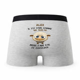 Caleçon Alex Agneau - Humour Boxer Gris Idée Cadeau
