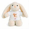 Peluche Lapin Bébé Doudou Joy Princesse Écureuil Cadeau Naissance Fille Nouveau-Né Baby Shower