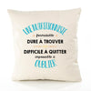 Housse de Coussin Premium Une Nutritionniste Formidable - Coton Canvas Fairtrade Beige Idée Cadeau Décoration Canapé