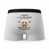 Caleçon Tanguy Agneau - Humour Boxer Gris Idée Cadeau