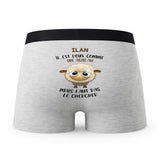 Caleçon Ilan Agneau - Humour Boxer Gris Idée Cadeau