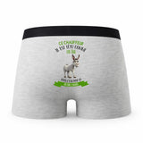Caleçon Ce Chauffeur Têtu comme Un Âne - Humour Boxer Gris Idée Cadeau