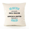 Housse de Coussin Premium Un Docteur Formidable - Coton Canvas Fairtrade Beige Idée Cadeau Décoration Canapé
