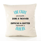 Housse de Coussin Premium Une Cadre Formidable - Coton Canvas Fairtrade Beige Idée Cadeau Décoration Canapé