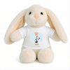 Peluche Lapin Bébé Doudou Noa Roi des Calins Panda Cadeau Naissance Garçon Nouveau-Né Baby Shower