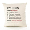 Housse de Coussin Premium Cameron Définition - Coton Canvas Fairtrade Beige Idée Cadeau Décoration Canapé