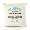 Housse de Coussin Premium Une Guitariste Formidable - Coton Canvas Fairtrade Beige Idée Cadeau Décoration Canapé