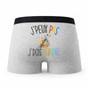 Caleçon Peinture - Humour Boxer Gris Idée Cadeau Passion