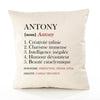 Housse de Coussin Premium Antony Définition - Coton Canvas Fairtrade Beige Idée Cadeau Décoration Canapé