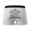 Caleçon Conseiller Dorientation Ministère de la Magie - Humour Boxer Gris Idée Cadeau