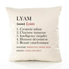 Housse de Coussin Premium Lyam Définition - Coton Canvas Fairtrade Beige Idée Cadeau Décoration Canapé