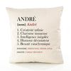Housse de Coussin Premium André Définition - Coton Canvas Fairtrade Beige Idée Cadeau Décoration Canapé