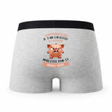 Caleçon Le Mathematicien Caractère de Cochon - Humour Boxer Gris Idée Cadeau
