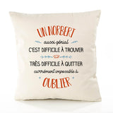 Housse de Coussin Premium Un Norbert Aussi génial - Coton Canvas Fairtrade Beige Idée Cadeau Décoration Canapé