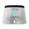 Caleçon Pollen - Humour Boxer Gris Idée Cadeau Passion