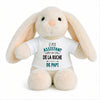 Peluche Lapin Bébé Doudou L'Assistant de Ruche de Papi Cadeau Naissance Garçon Nouveau-Né Baby Shower