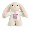 Peluche Lapin Bébé Doudou L'assistante de Console de Tata Cadeau Naissance Fille Nouveau-Né Baby Shower