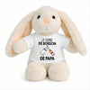 Peluche Lapin Bébé Doudou La Copine de Boisson de Papa Cadeau Naissance Fille Nouveau-Né Baby Shower