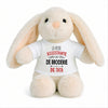 Peluche Lapin Bébé Doudou L'assistante de Broderie de Tata Cadeau Naissance Fille Nouveau-Né Baby Shower