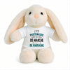Peluche Lapin Bébé Doudou Le Partenaire de Marche de Marraine Cadeau Naissance Garçon Nouveau-Né Baby Shower