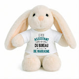 Peluche Lapin Bébé Doudou L'Assistant du Bureau de Marraine Cadeau Naissance Garçon Nouveau-Né Baby Shower