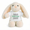 Peluche Lapin Bébé Doudou Exemple de Perfection Cadeau Naissance Nouveau-Né Baby Shower