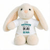 Peluche Lapin Bébé Doudou Le Partenaire de Jeu de Papa Cadeau Naissance Garçon Nouveau-Né Baby Shower