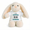 Peluche Lapin Bébé Doudou Le Partenaire de Jeu de Marraine Cadeau Naissance Garçon Nouveau-Né Baby Shower