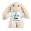 Peluche Lapin Bébé Doudou L'Assistant de Console de Marraine Cadeau Naissance Garçon Nouveau-Né Baby Shower