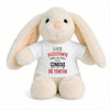 Peluche Lapin Bébé Doudou L'assistante de Console de Tonton Cadeau Naissance Fille Nouveau-Né Baby Shower