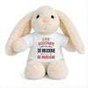 Peluche Lapin Bébé Doudou L'assistante de Broderie de Marraine Cadeau Naissance Fille Nouveau-Né Baby Shower