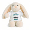 Peluche Lapin Bébé Doudou L'Assistant de Infirmerie de Papa Cadeau Naissance Garçon Nouveau-Né Baby Shower