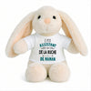 Peluche Lapin Bébé Doudou L'Assistant de Ruche de Maman Cadeau Naissance Garçon Nouveau-Né Baby Shower