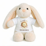 Peluche Lapin Bébé Doudou Lion Roi Novembre Cadeau Naissance Garçon Nouveau-Né Baby Shower