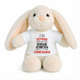 Peluche Lapin Bébé Doudou Je Veux Devenir Secretaire de Direction comme Maman Cadeau Naissance Nouveau-Né Baby Shower