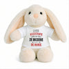 Peluche Lapin Bébé Doudou L'assistante de Broderie de Mamie Cadeau Naissance Fille Nouveau-Né Baby Shower